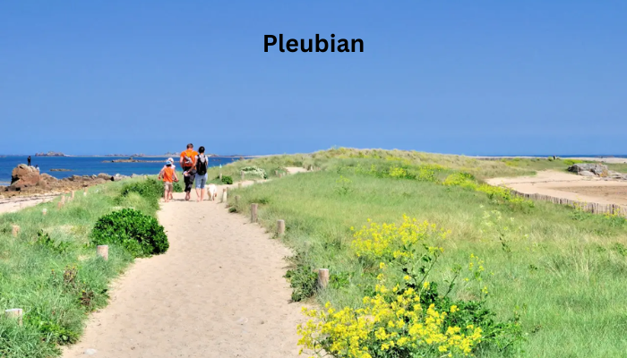 Pleubian